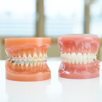 サン横浜歯科矯正クリニック